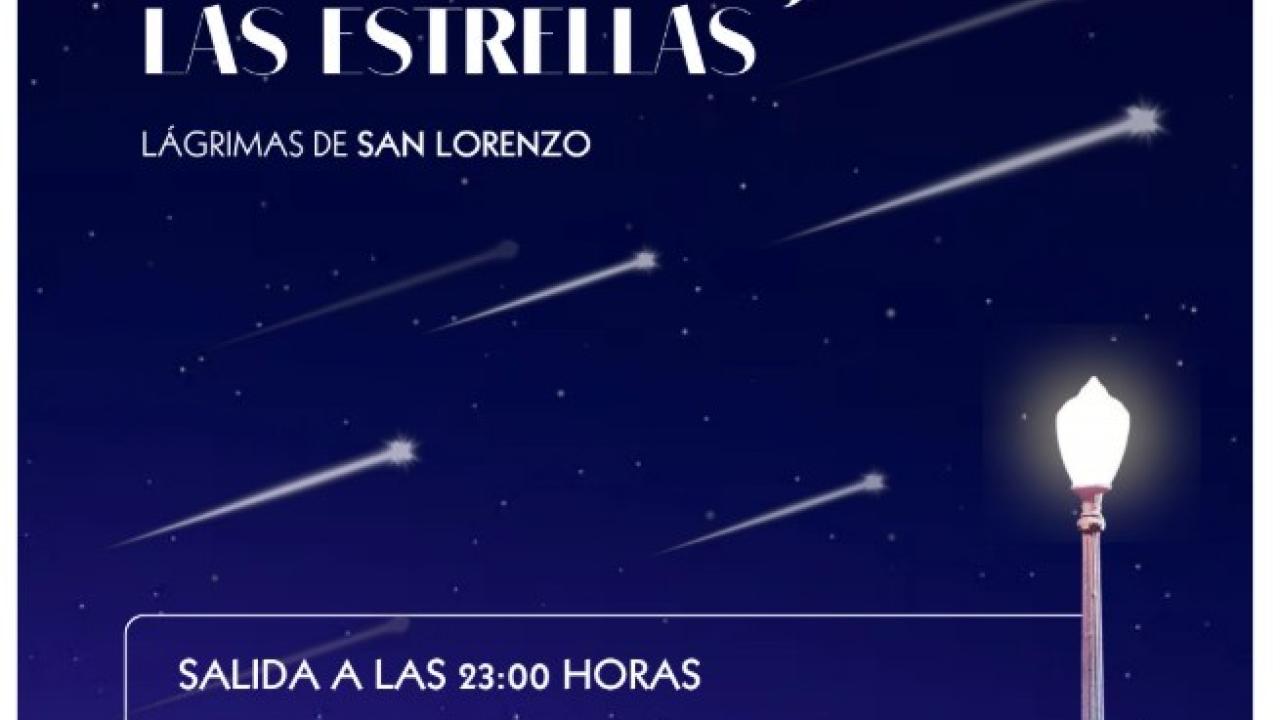 Noche mágica bajo las estrellas