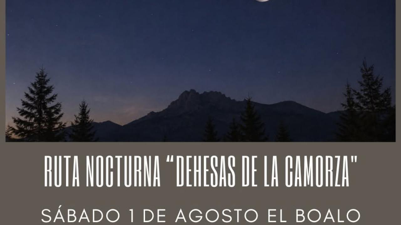 Ruta nocturna "Dehesa de la Camorza