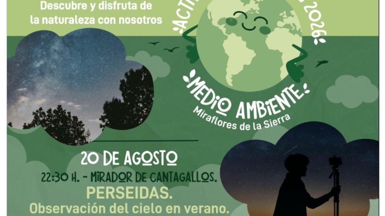 Observación de estrellas: Perseidas 2026