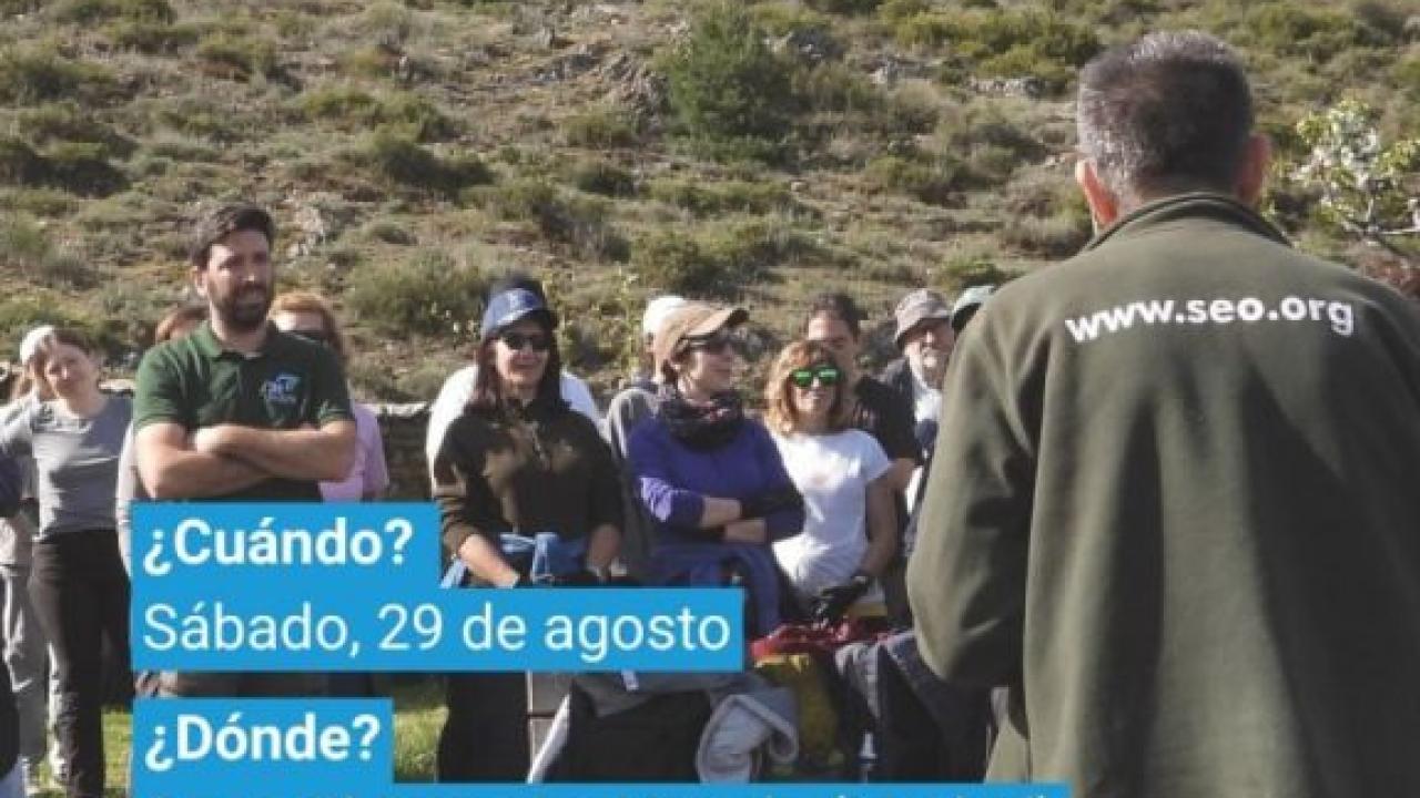 Mantenimiento Forestal Sierra del Rincón