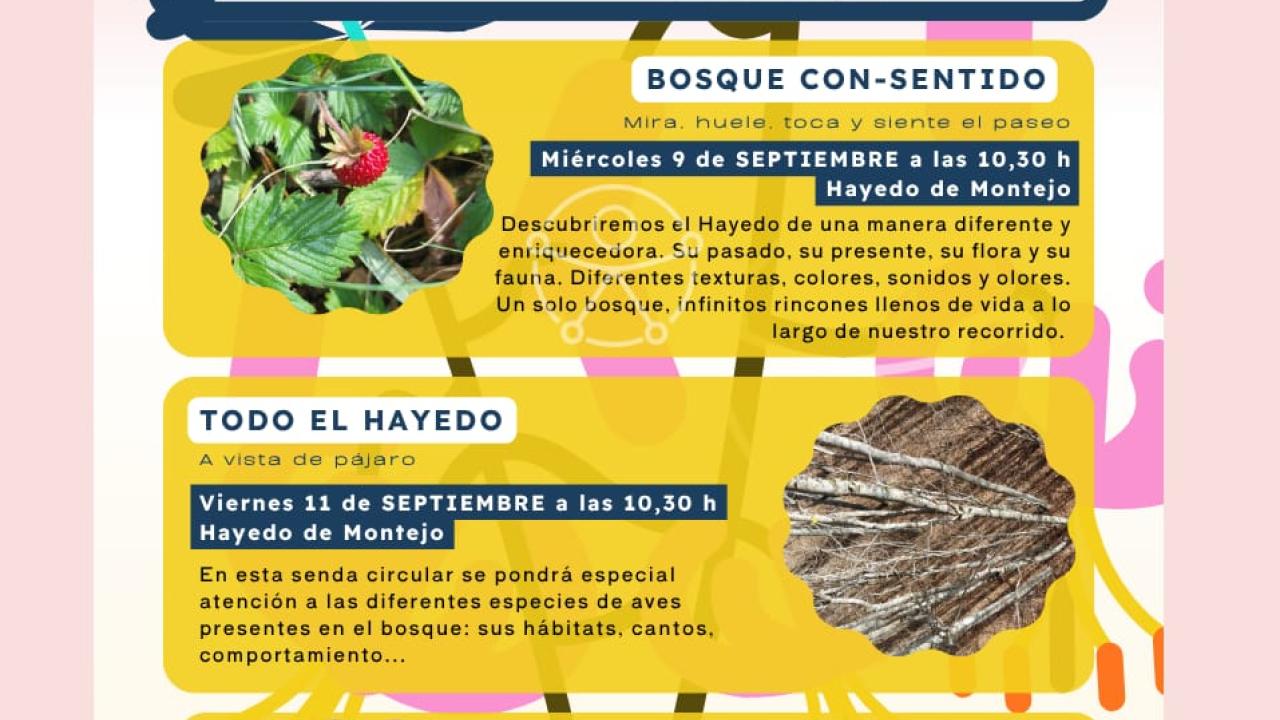 Mirando al suelo · Un bosque, más que árboles
