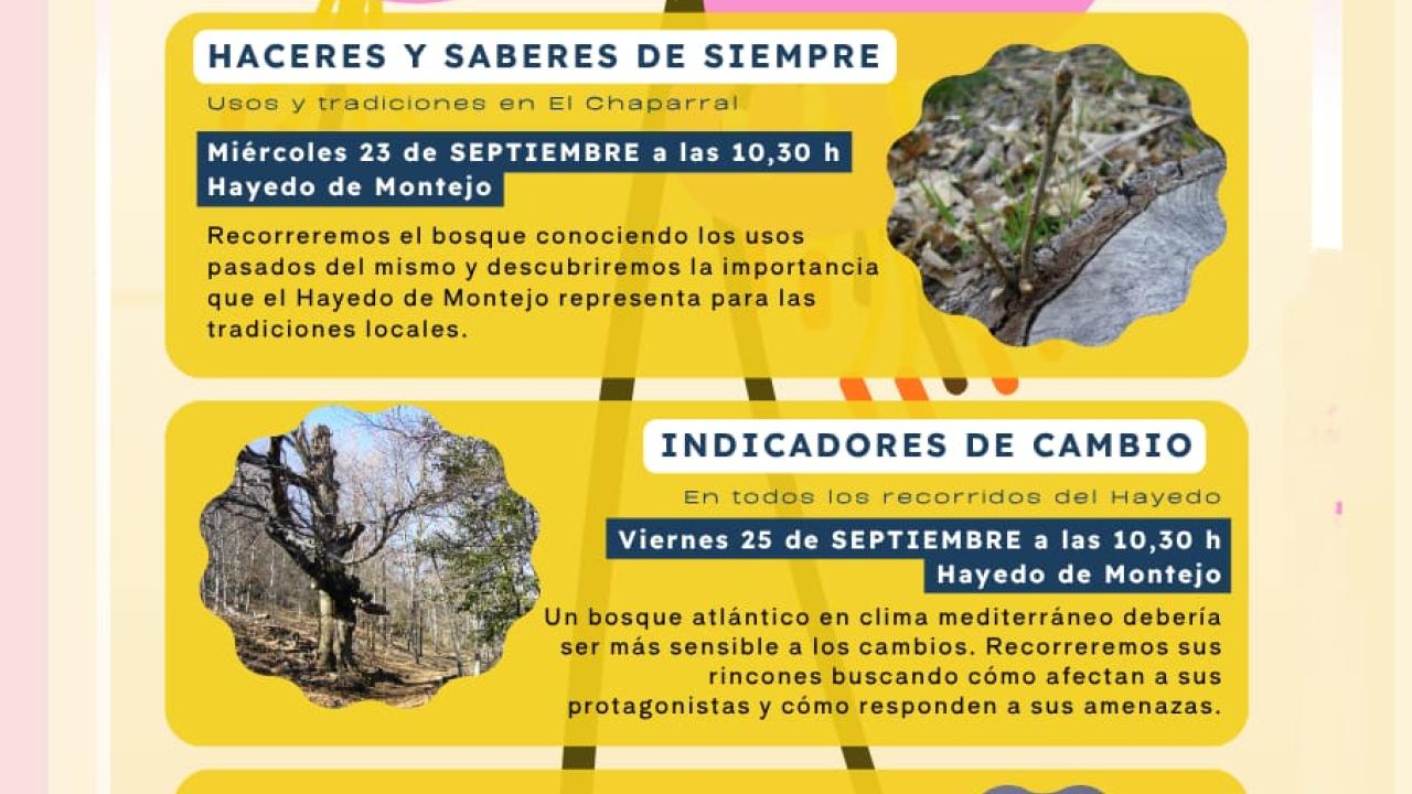 Hasta el año que viene · Despedida de las aves migratorias