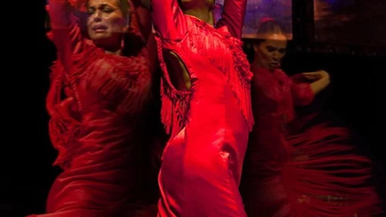 Espectáculo flamenco Emociones