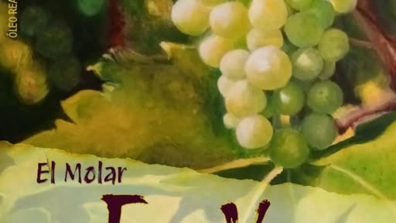 XIX Feria del Vino de El Molar