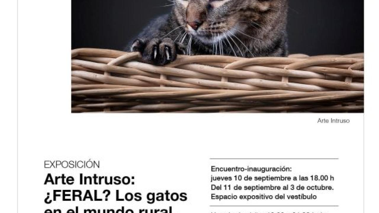 Exposición Arte Intruso: ¿Feral? Los gatos en el mundo rural