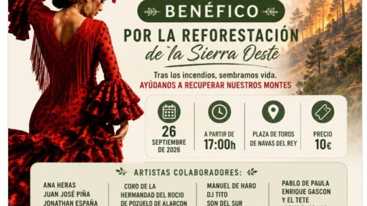 Festival Flamenco en Navas del Rey