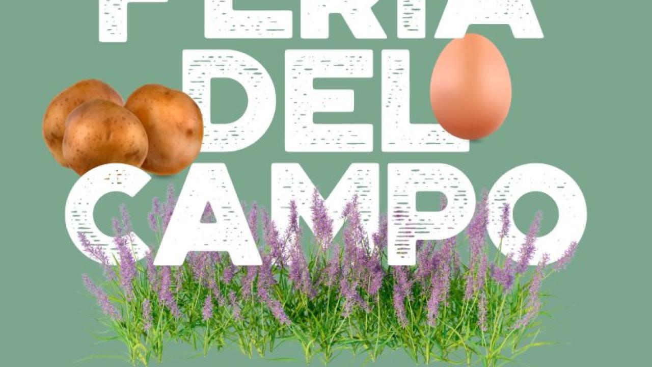 Feria del Campo de Bustarviejo
