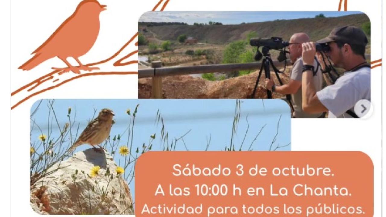 Ruta ornitológica