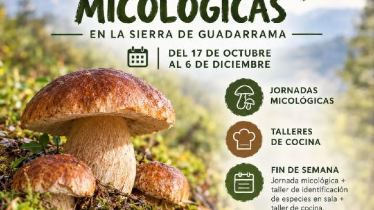 13ª Jornadas Micológicas Sierra de Guadarrama