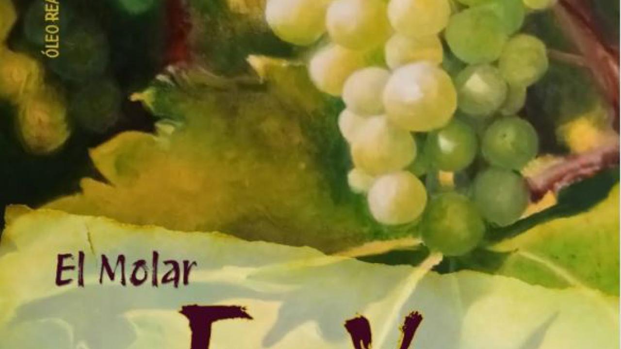 XIX Feria del Vino El Molar