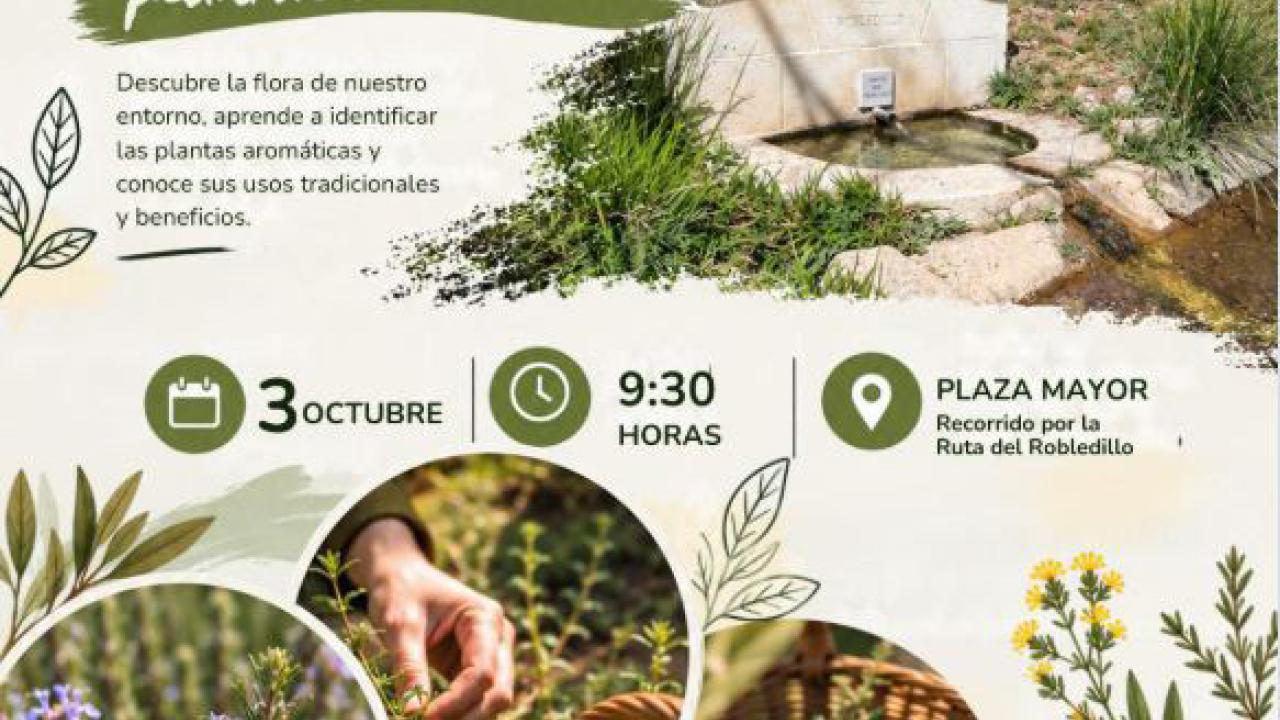 Taller ambiental Plantas Aromáticas