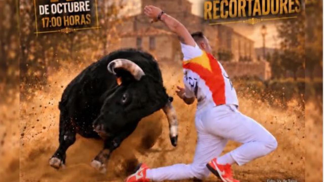 Concurso Nacional de Recortes y Capea