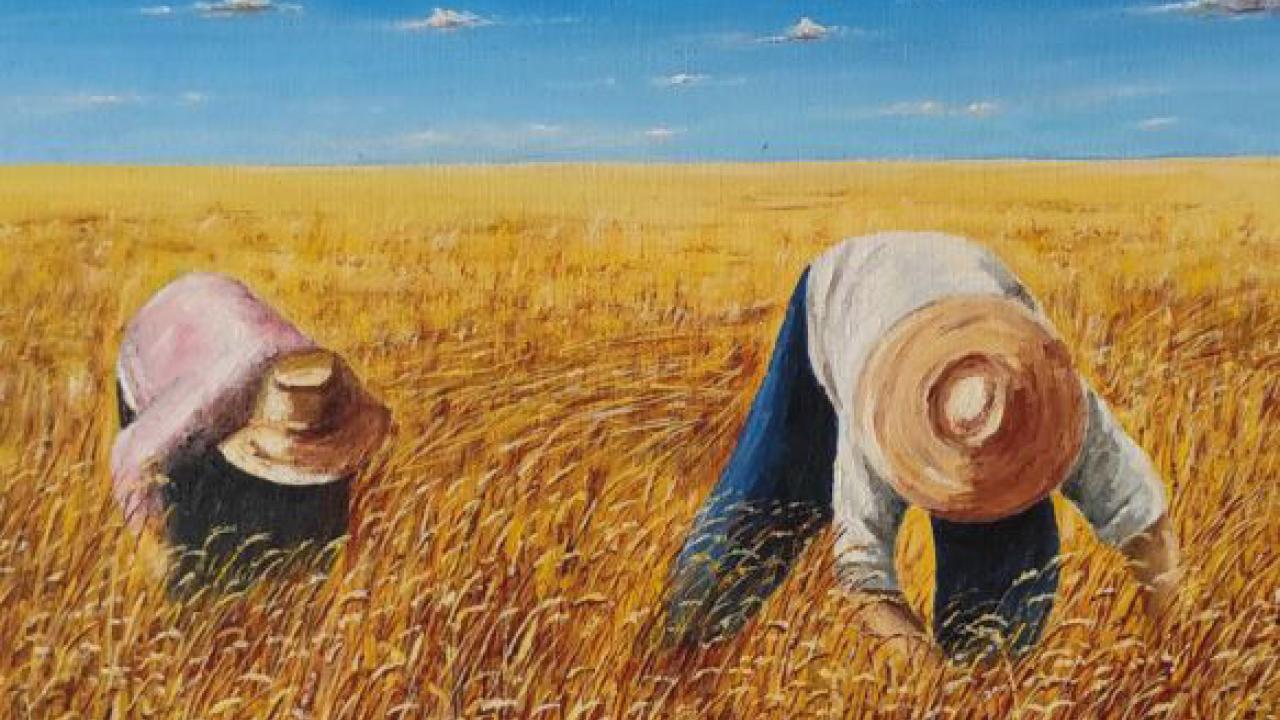 Manuel San Miguel: La Alcarria