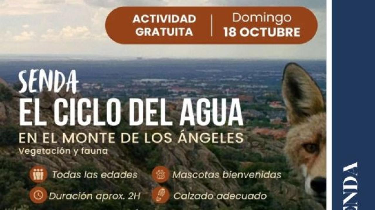 Ruta el Ciclo del Agua, vegetación y fauna en el Monte Los Ángeles