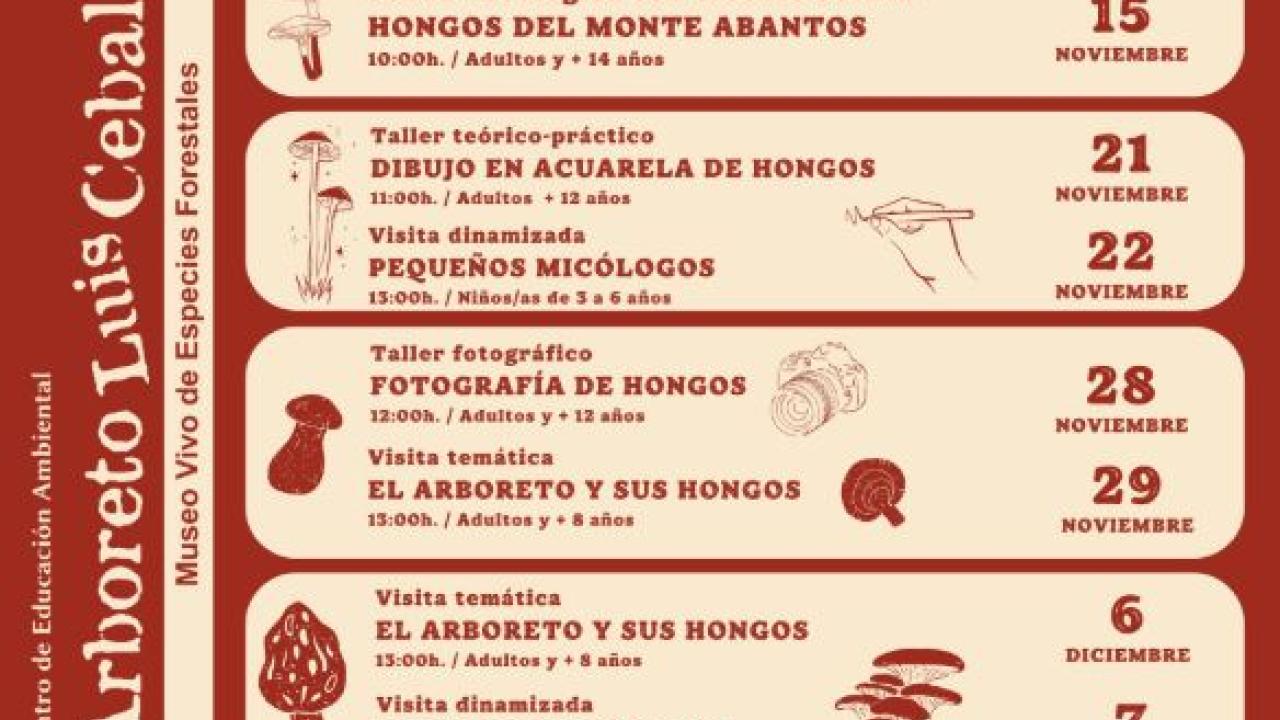 Programa Exposetas 2026