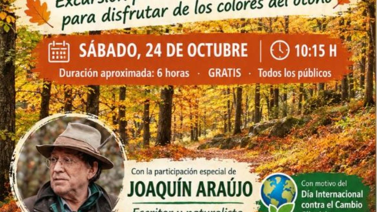 Ruta Otoño en el Bosque de Abantos