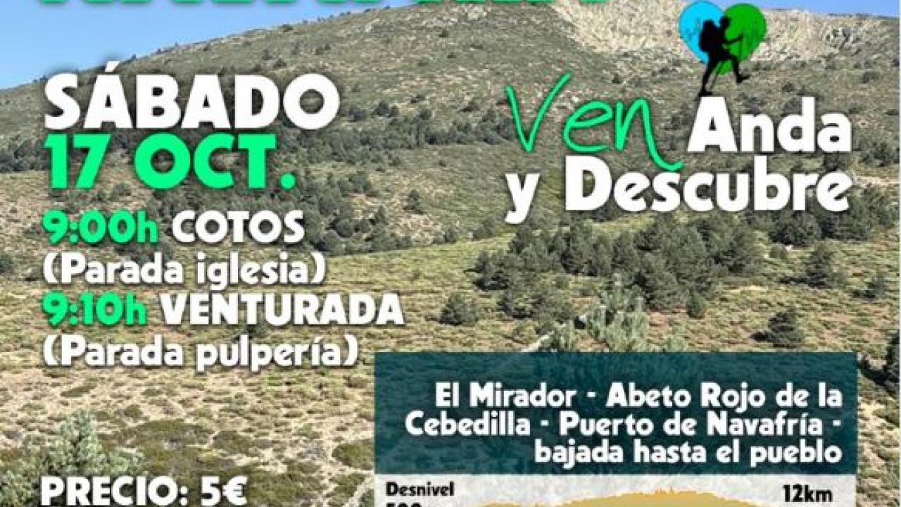 Ruta por los pinares de Navafría