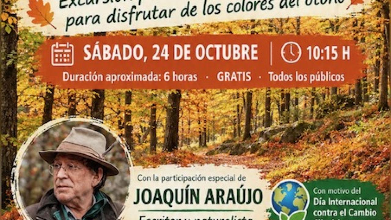 Otoño en el bosque de Abantos