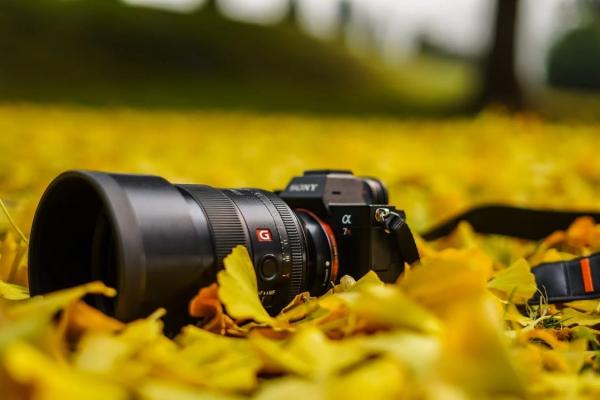 Fotografías y vídeos