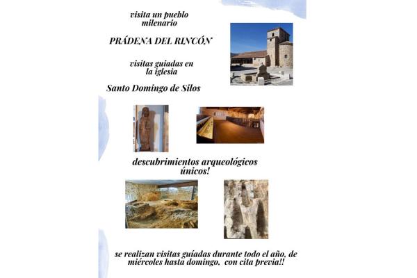 Visitas guiadas a la iglesia Santo Domingo de Silos y su Necropolis 