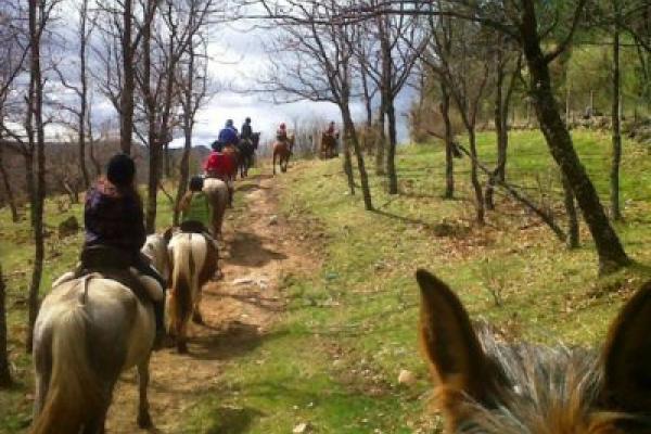 Paseos y rutas a caballo en Cercedilla