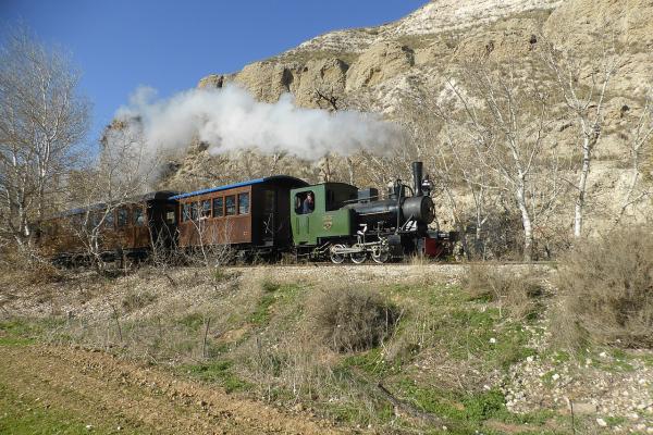 Tren de Arganda en el entorno de la laguna del Campillo