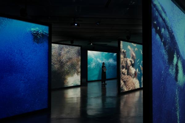 Ecos del Oceano