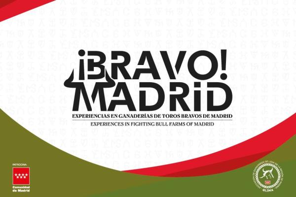 Experiencias en ganaderías de toros bravos en Madrid