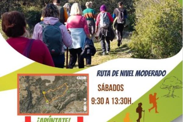 Ruta: Fuente del Arca, Robledillo y Cordel de las Merinas