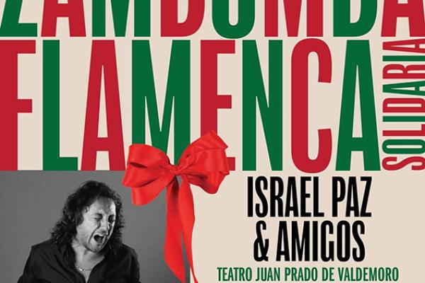 Zambomba Flamenca Solidaria