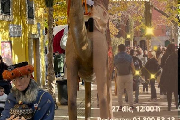 Visita guiada "Operación Navidad en Familia"