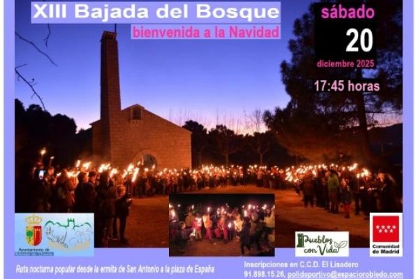 XIII Bajada del monte