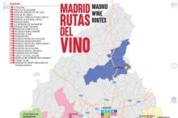 ruta-del-vino.jpg