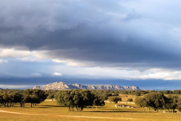Ruta de senderismo por la Dehesa de Moncalvillo