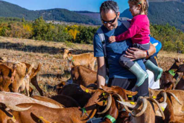 Portada del folleto Sierra Norte de Madrid en familia