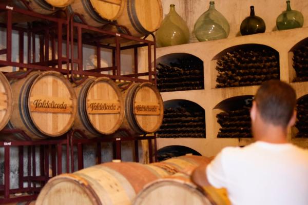 Imagen de la sala de barricas de Bodega del Nero