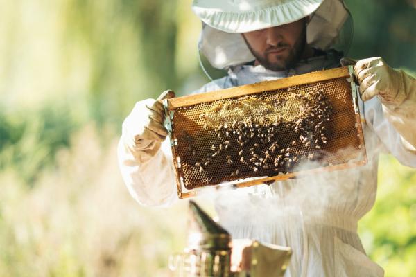 Apicultor por un día