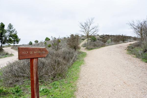 Vista de la senda de los Tarayes