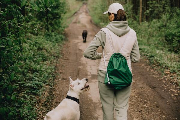 Caminata con perros