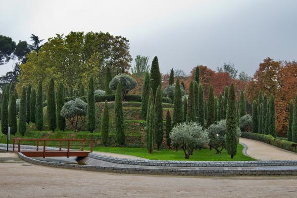 Bosque del Recuerdo