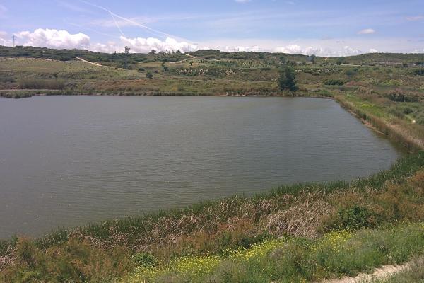 El Regajal – Mar de Ontigola