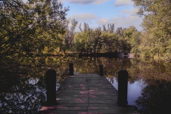 Imagen del embarcadero del Bosque Finlandés