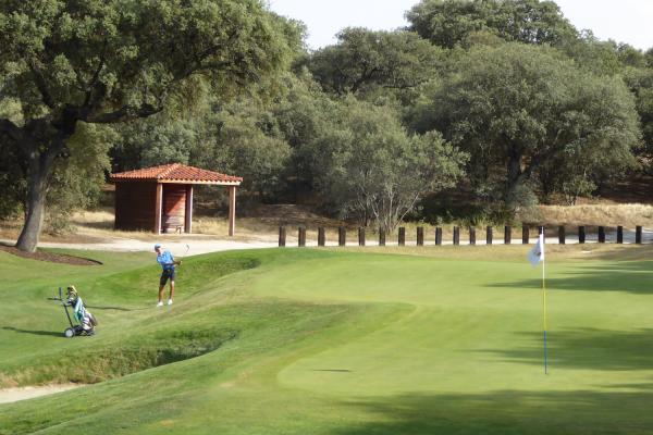 Imagen del golf de la Real Sociedad Hípica Española Club de Campo