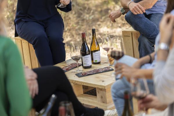 Imagen de varias personas degustando vino en un espacio exterior de una bodega