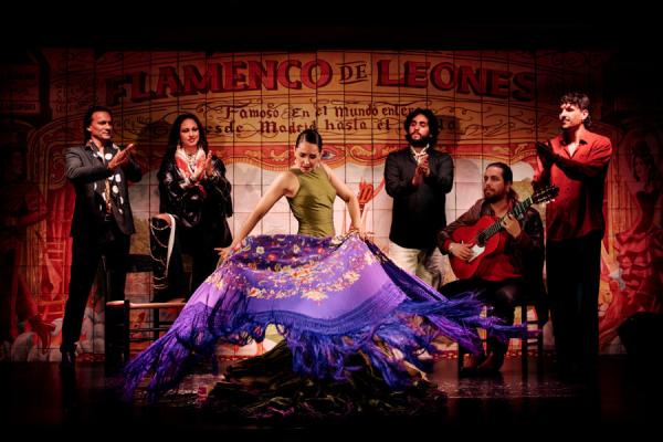 Imagen de show flamenco en Flamenco de los leones