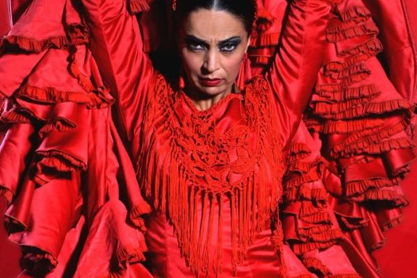 Imagen de bailaora flamenca en el Teatro Flamenco de Madrid