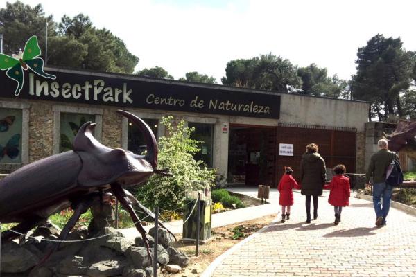 Insect Park