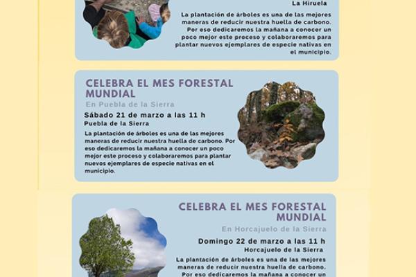Celebra el Mes Forestal Mundial