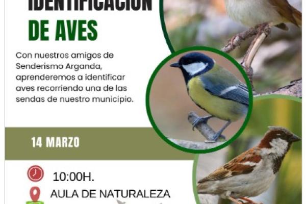 Taller ambiental de identificación de aves