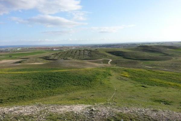 Fuente de la teja con el programa caminos históricos